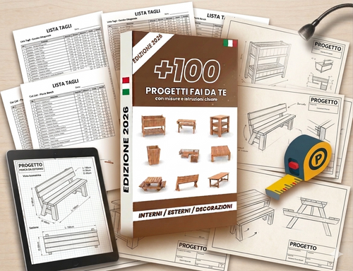 +100 PROGETTI IN LEGNO (3 BONUS INCLUSI)
